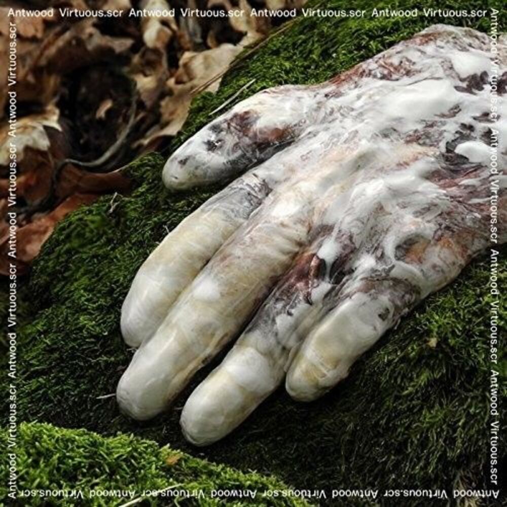 Antwood - Virtuous.Scr  LP LP